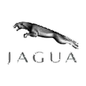 Pièces Jaguar