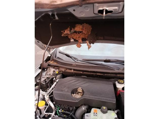 Renault Kadjar Protection Rongeur - Rodent Protection – Renault Kadjar