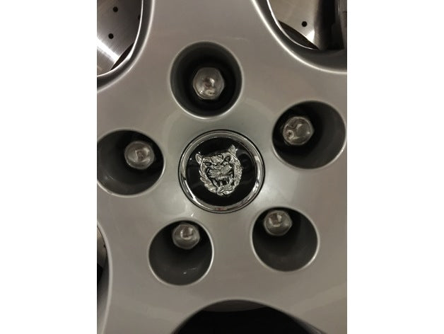 Jaguar Wheel Brand Caps – Jaguar