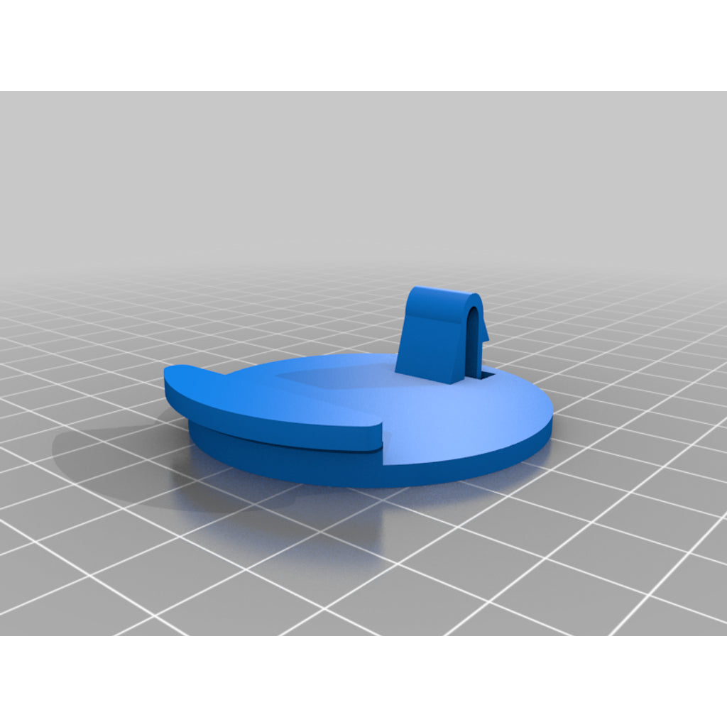 Front Tow Hook Cover Cap – 2003 Ford Fiesta