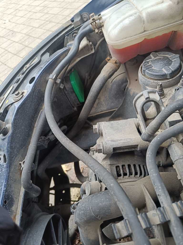 Headlight Dust Cover – 1999 Ford Focus MK1