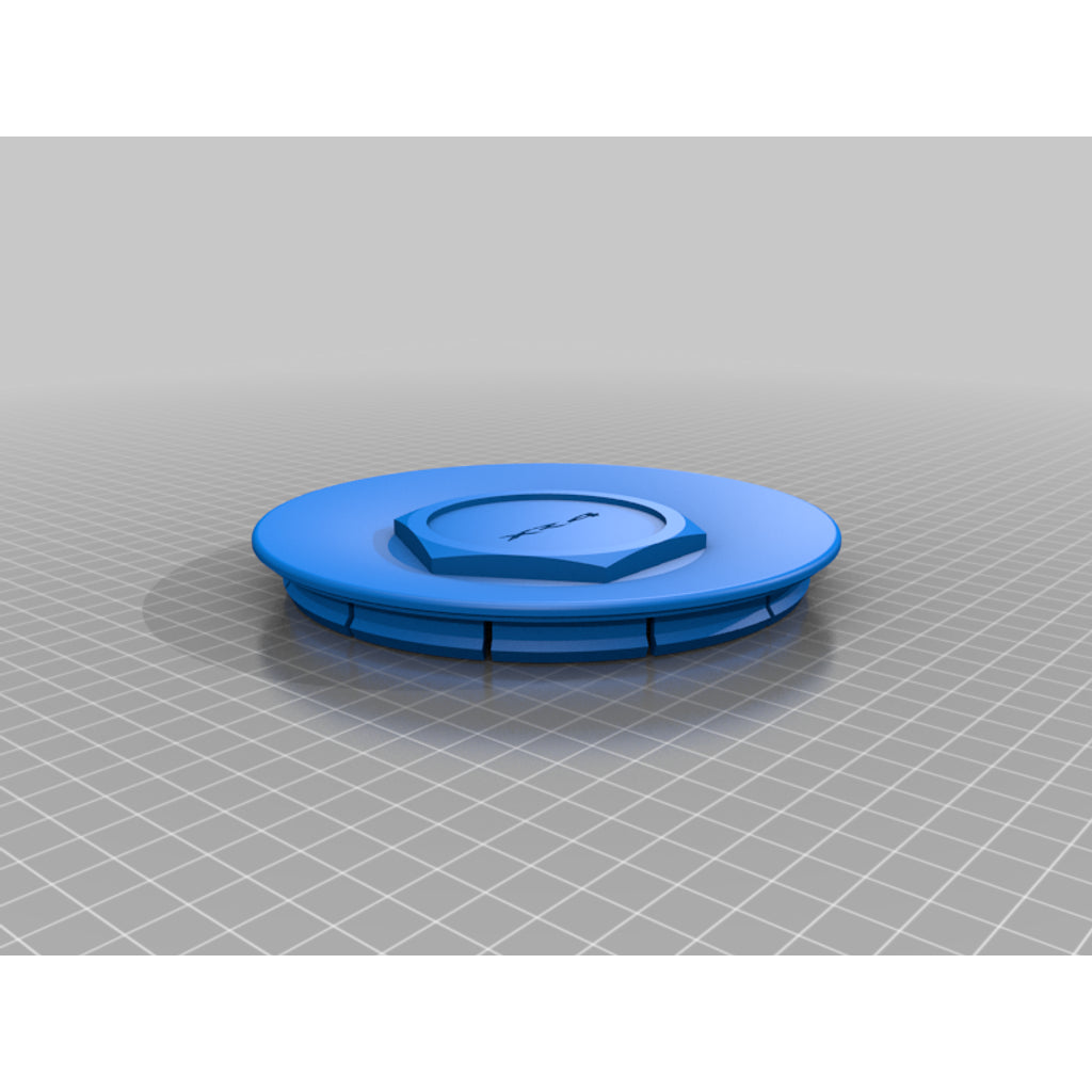 Wheel Centre Cap – 2007 Ford Fiesta (XR4 ST150)